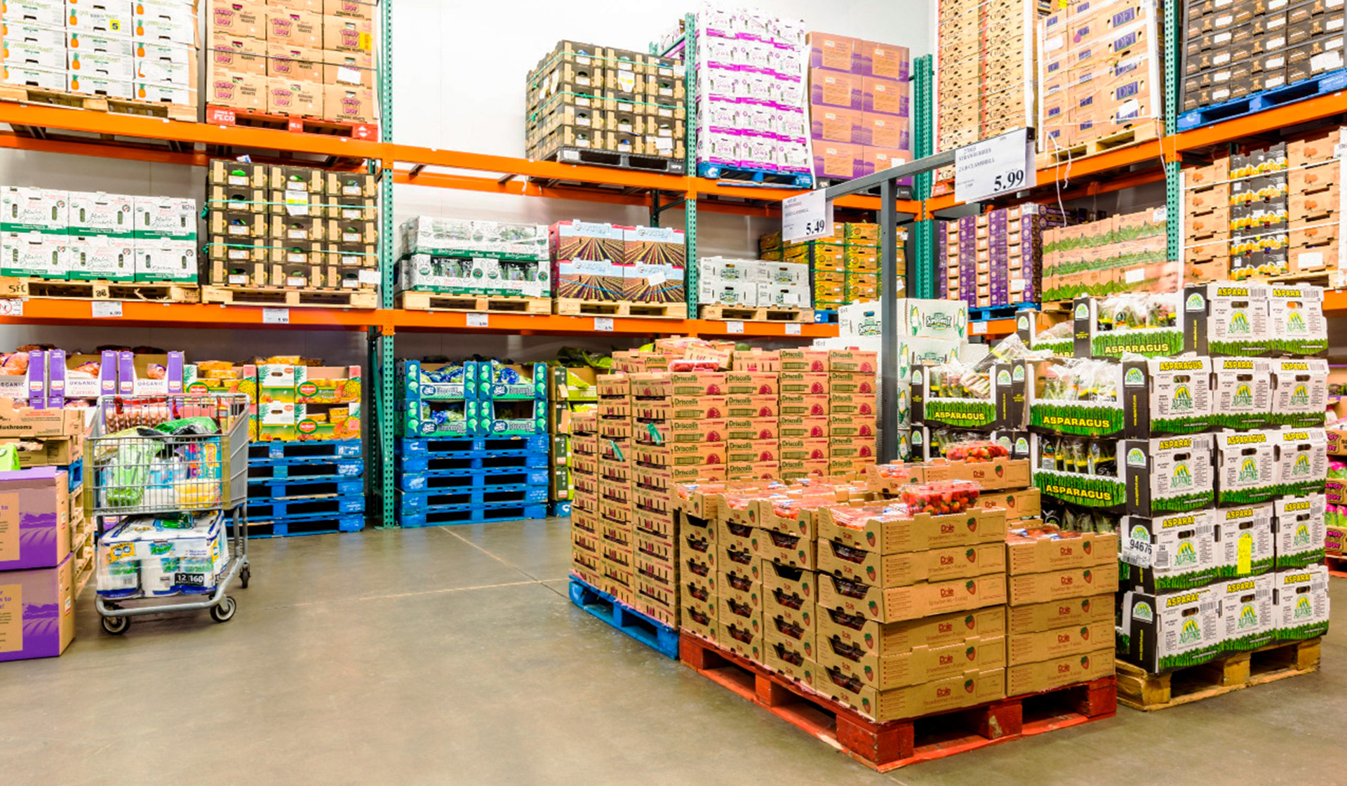 Venta Mayorista de Abarrotes